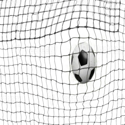 Soccer Goal!