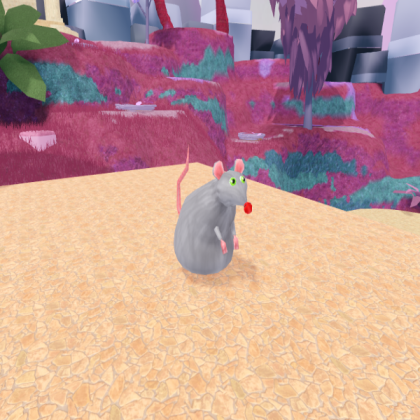Rat
