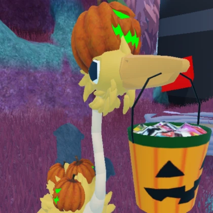 pumpkin bird