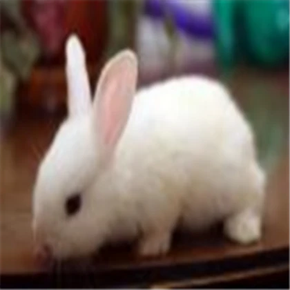 Bugs Bunny