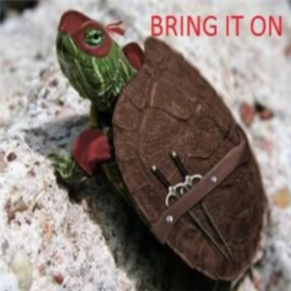 Turtle Pet