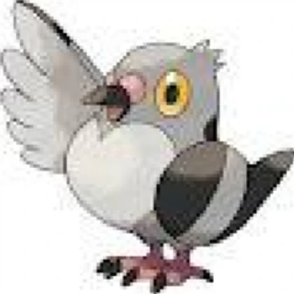 pidove