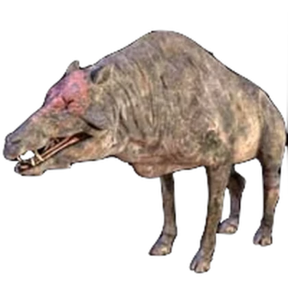 Daeodon NPC