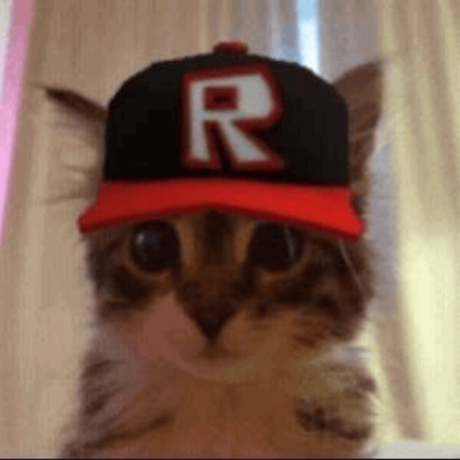 big retro classic cat