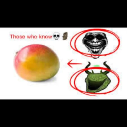 TEST MANGO