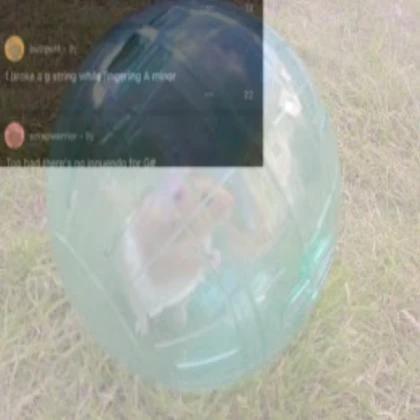 bola de hamster