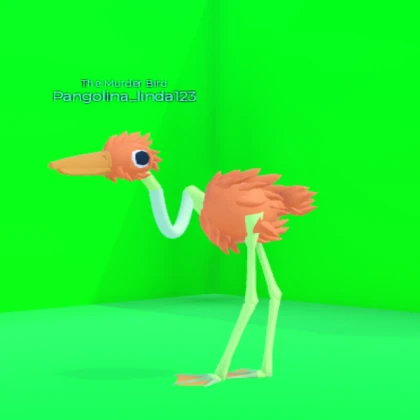 Green screen walls