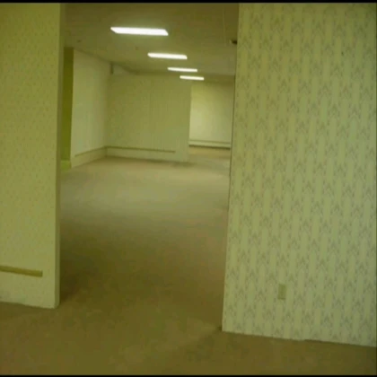 Backrooms