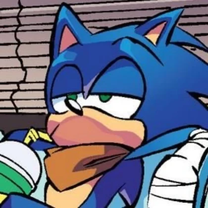Sonic bird morph 