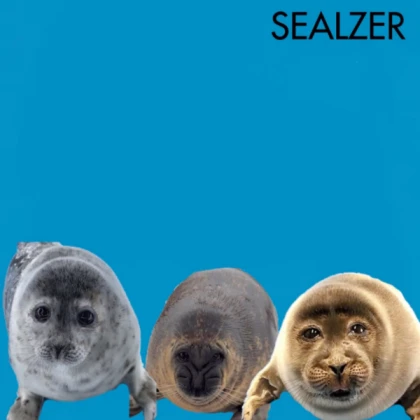 seal morphs