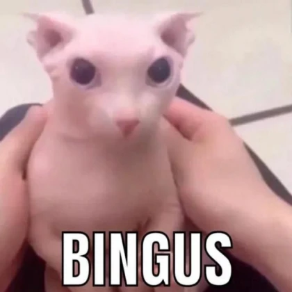 Bingus Nextbot