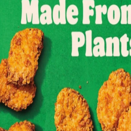 Vegan Chicken Tender