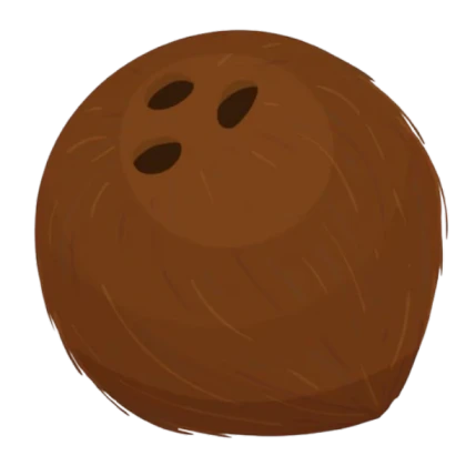 coconut canister