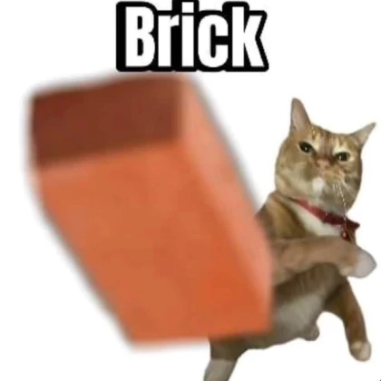 cat meme block