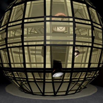 Museum Cage