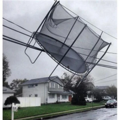 Bird-Sized Trampoline