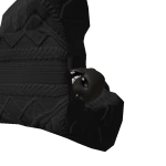 Noob_megapet