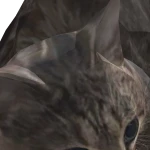 mikelarkan