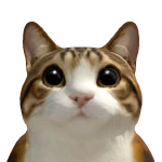 berttricks