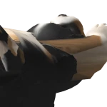 SHARKY04076