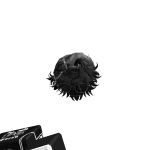 crxased7