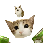 BlueRazzCat